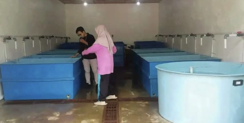 Potrer Balai Benih Ikan di Desa Kote | Foto : Zonamu/David
