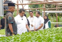 PT Timah bina kelompok Lanjut Bestari dalam pembudidayaan sayuran sistem hidroponik di Desa Sawang Laut, Kundur, Kabupaten Karimun | Foto: Zonamu/Humas PT Timah