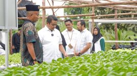 PT Timah bina kelompok Lanjut Bestari dalam pembudidayaan sayuran sistem hidroponik di Desa Sawang Laut, Kundur, Kabupaten Karimun | Foto: Zonamu/Humas PT Timah