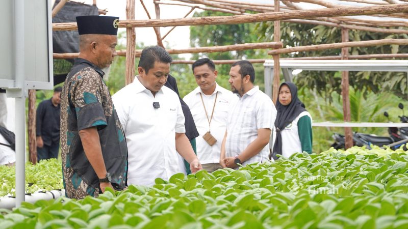 PT Timah bina kelompok Lanjut Bestari dalam pembudidayaan sayuran sistem hidroponik di Desa Sawang Laut, Kundur, Kabupaten Karimun | Foto: Zonamu/Humas PT Timah