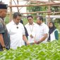 PT Timah bina kelompok Lanjut Bestari dalam pembudidayaan sayuran sistem hidroponik di Desa Sawang Laut, Kundur, Kabupaten Karimun | Foto: Zonamu/Humas PT Timah