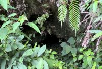Misteri Batu Berlubang di Lingga Sejarah Kelam dan Aura Mistis yang Terjaga Hingga Kini (Foto : Zonamu/Wandi)