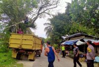 Potret Dinas Lingkungan Hidup saat sedang bekerja | foto : Zonamu/Wandi