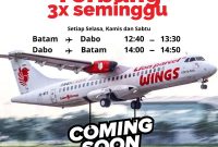 Wings Air Kembali Layani Penerbangan Dabo-Batam Mulai 30 Maret 2025 | foto : zonamu/istimewa