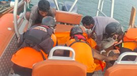 Tim SAR saat melakukan evakuasi korban | foto : zonamu/Yudha