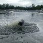Potret Tambak Udang Vaname di Kabupaten Lingga | Foto : Zonamu/Wandi
