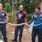 Teror di Rumah Warga, Ular Kobra 2,5 Meter Dievakuasi Damkar Lingga | Foto : Zonamu/Damkar Lingga