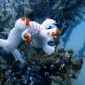 Penenggelaman Artificial Reef sebagai bentuk reklamasi laut yang dilakukan PT Timah untuk mendukung pelestarian lingkungan laut | Foto: Zonamu/Humas PT Timah