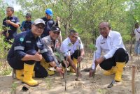 Komitmen PT Timah melestarikan lingkungan dibuktikan dengan menanam 2500 Bibit Mangrove di Karimun | Foto: Zonamu/Humas PT Timah