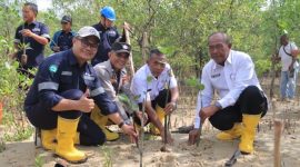 Komitmen PT Timah melestarikan lingkungan dibuktikan dengan menanam 2500 Bibit Mangrove di Karimun | Foto: Zonamu/Humas PT Timah