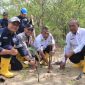 Komitmen PT Timah melestarikan lingkungan dibuktikan dengan menanam 2500 Bibit Mangrove di Karimun | Foto: Zonamu/Humas PT Timah