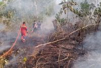 Damkar Padamkan Karhutla di Jalan Pertanian Sungai Lumpur | Foto : Zonamu/Damkar