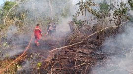 Damkar Padamkan Karhutla di Jalan Pertanian Sungai Lumpur | Foto : Zonamu/Damkar
