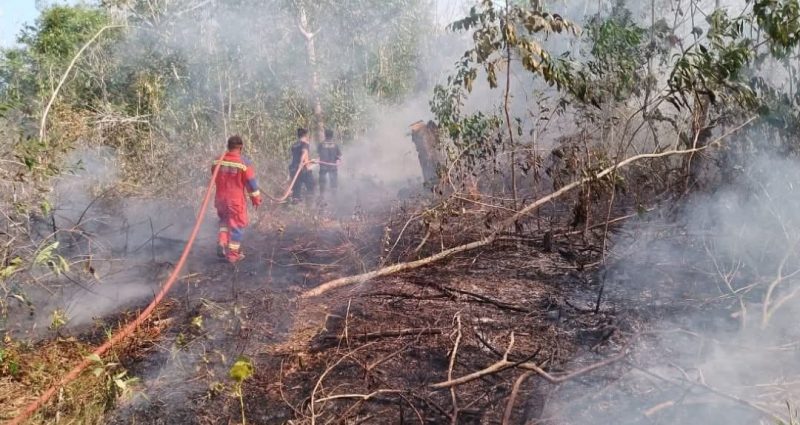 Damkar Padamkan Karhutla di Jalan Pertanian Sungai Lumpur | Foto : Zonamu/Damkar