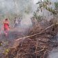 Damkar Padamkan Karhutla di Jalan Pertanian Sungai Lumpur | Foto : Zonamu/Damkar