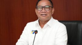Deputi Bidang Investasi dan Pengusahaan BP Batam, Fary Djemy Francis | Foto: Zonamu/Humas BP Batam