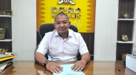 Ketua DPRD Karimun, Raja Rafiza | Foto: Rian