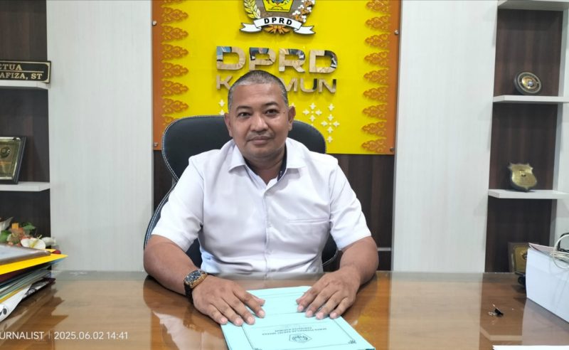 Ketua DPRD Karimun, Raja Rafiza | Foto: Rian