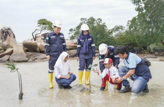 PT Timah komitmen menjaga pelestarian lingkungan dengan mendidik pelajar Sekolah Dasar menanam mangrove | Foto: Zonamu/Humas PT Timah