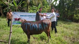 PT Timah menyerahkan hewan kurban untuk masyarakat di wilayah Kabupaten Kepulauan Meranti, Provinsi Riau | Foto: Zonamu/Humas PT Timah