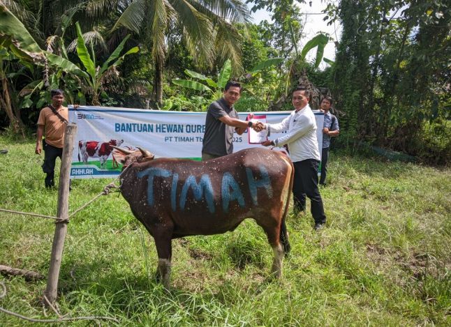 PT Timah menyerahkan hewan kurban untuk masyarakat di wilayah Kabupaten Kepulauan Meranti, Provinsi Riau | Foto: Zonamu/Humas PT Timah