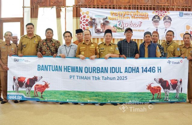 PT Timah serahkan hewan kurban secara simbolis kepada Bupati Bangka Tengah | Foto: Zonamu/Humas PT Timah