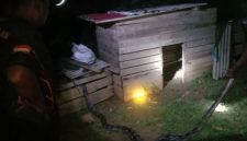 Petugas Damkar saat evakuasi ular di kandang ayam warga | Foto : Zonamu/Humas Damkar