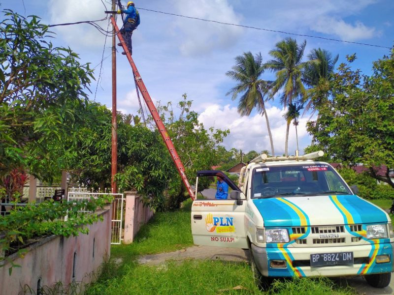 Petugas PLN saat sedang melakukan perbaikan | Foto : Zonamu/Wandi