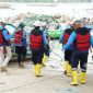 PT Timah bersama POSSI Provinsi Kepulauan Bangka Belitung dan nelayan Tanjung Kubu, Kabupaten Bangka Selatan melakukan monitoring artificial reef di Perairan Tanjung Kubu | Foto: Zonamu/Humas PT Timah
