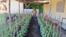 Kadisperindagkop UKM Lingga Febrizal Taupik usai operasi melakukan peninjauan kebun cabai | Foto : Zonamu/Taupik