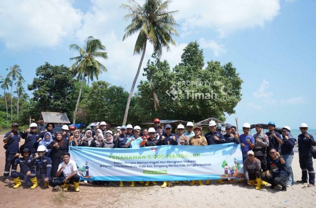PT Timah bersama Karang Taruna Desa Rajik menanam 5.000 pohon mangrove di kawasan Pantai Batu Bedaun Kabupaten Bangka Selatan | Foto: Zonamu/Humas PT Timah