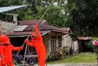Damkar Lingga Evakuasi Sarang Tawon Vespa di Desa Tanjung Harapan | Foto : Zonamu/Wandi