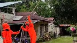 Damkar Lingga Evakuasi Sarang Tawon Vespa di Desa Tanjung Harapan | Foto : Zonamu/Wandi