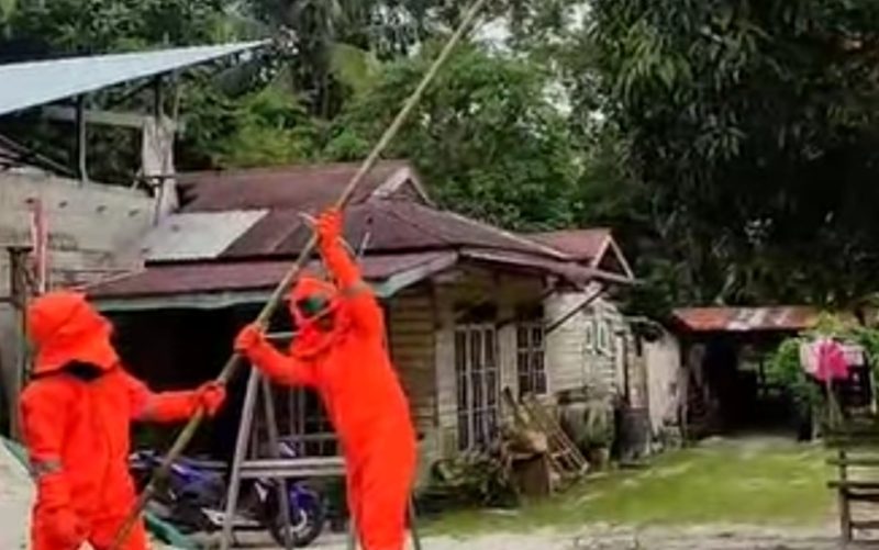 Damkar Lingga Evakuasi Sarang Tawon Vespa di Desa Tanjung Harapan | Foto : Zonamu/Wandi