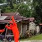 Damkar Lingga Evakuasi Sarang Tawon Vespa di Desa Tanjung Harapan | Foto : Zonamu/Wandi