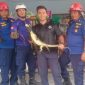 Damkar Dabo Singke saat evakuasi biawak masuk rumah warga | Foto : Zonamu/Humas Damkar
