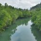 Kawasan Hutan Mangrove di Kabupaten Lingga | Foto : Zonamu/Ist