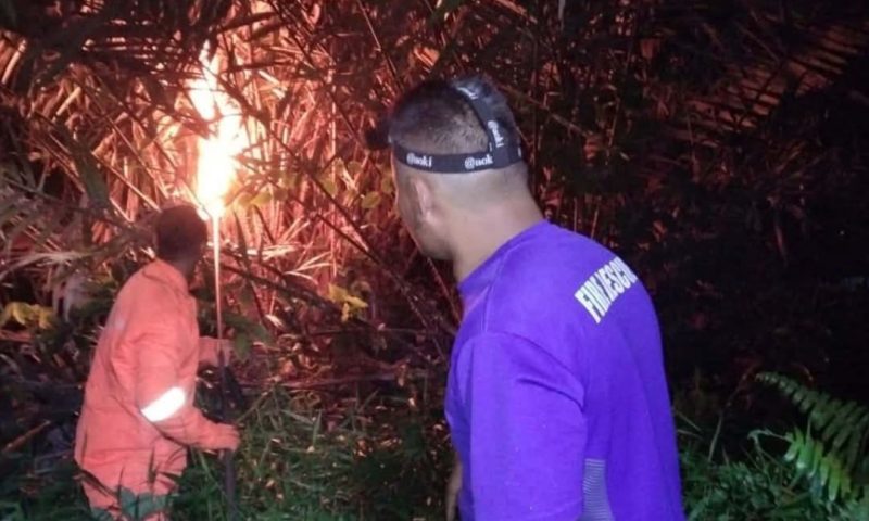 Petugas Damkar saat evakuasi sarang tawon | Foto : Zonamu/Damkar Daik