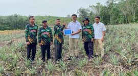 Perwakilan PT Timah menyerahkan bantuan bibit tanaman kepada Kelompok Bina Tani Tailong di Desa Kundur, Kecamatan Kundur Barat | Foto: Zonamu/Humas PT Timah