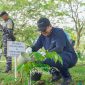 Pada tahun 2025, PT Timah telah melaksanakan penanaman 1200 pohon produktif dan buah-buahan | Foto: Zonamu/Humas PT Timah