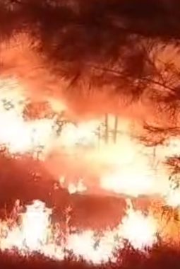 September 2026 Jadi Bulan Tertinggi Kebakaran di Lingga