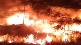 Kebakaran di pantai Napau Desa Resang | Foto : Zonamu/Warga