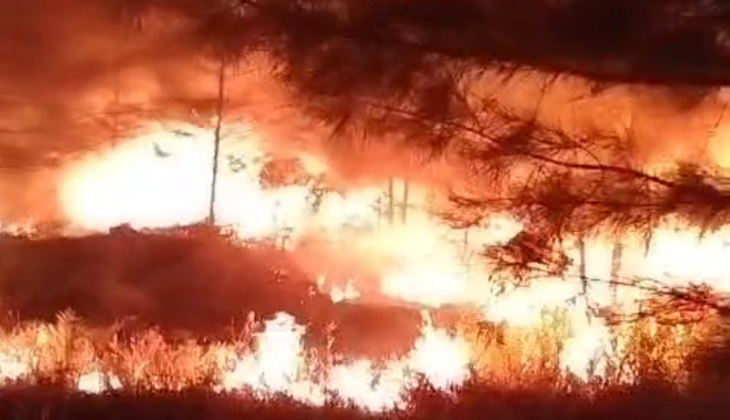Kebakaran di pantai Napau Desa Resang | Foto : Zonamu/Warga
