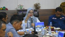 Ketua DPRD Lingga Maya Sari saat menerima audiensi masyarakat | Foto : Zonamu/Humas DPRD Lingga