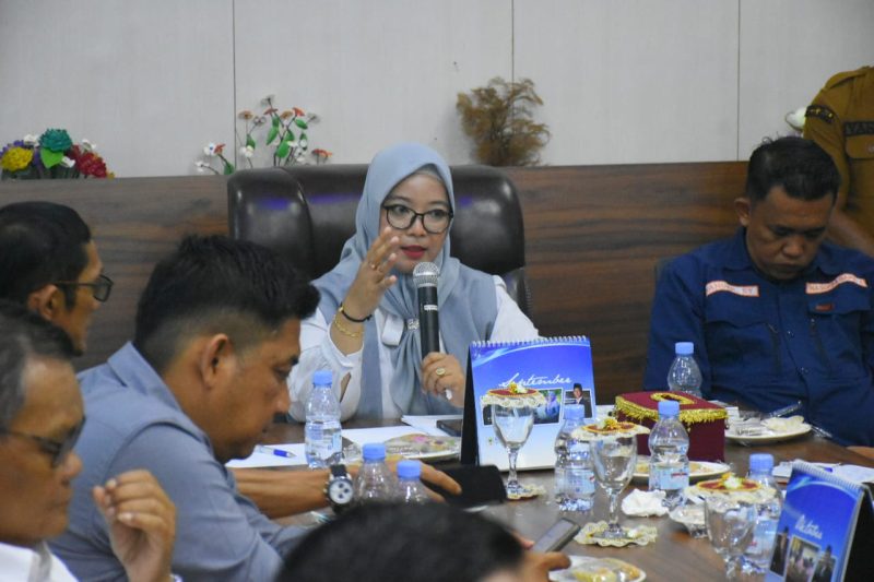 Ketua DPRD Lingga Maya Sari saat menerima audiensi masyarakat | Foto : Zonamu/Humas DPRD Lingga