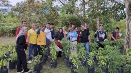 Barenlitbang Lingga Panen Perdana Cabai Rawit | Foto : Zonamu/Barenlitbang Lingga