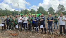 PT Timah Tbk bersama kelompok tani Bina Tani Tailong Riau menanam 50.000 bibit nanas morris di Desa Kundur, Kecamatan Kundur Barat, Provinsi Kepulauan Riau | Foto: Zonamu/Humas PT Timah
