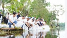 PT Timah menebar bibit ikan di enam kolong di kawasan Desa Pemali, Kabupaten Bangka | Foto: Zonamu/Humas PT Timah