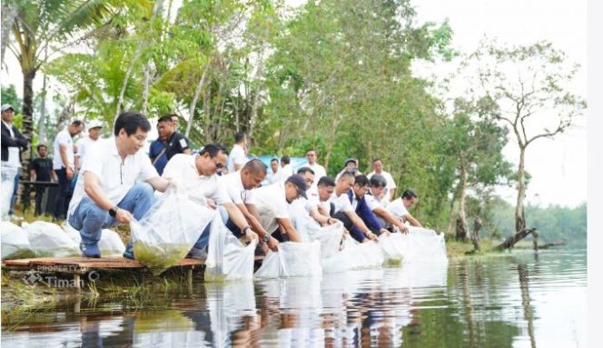 PT Timah menebar bibit ikan di enam kolong di kawasan Desa Pemali, Kabupaten Bangka | Foto: Zonamu/Humas PT Timah