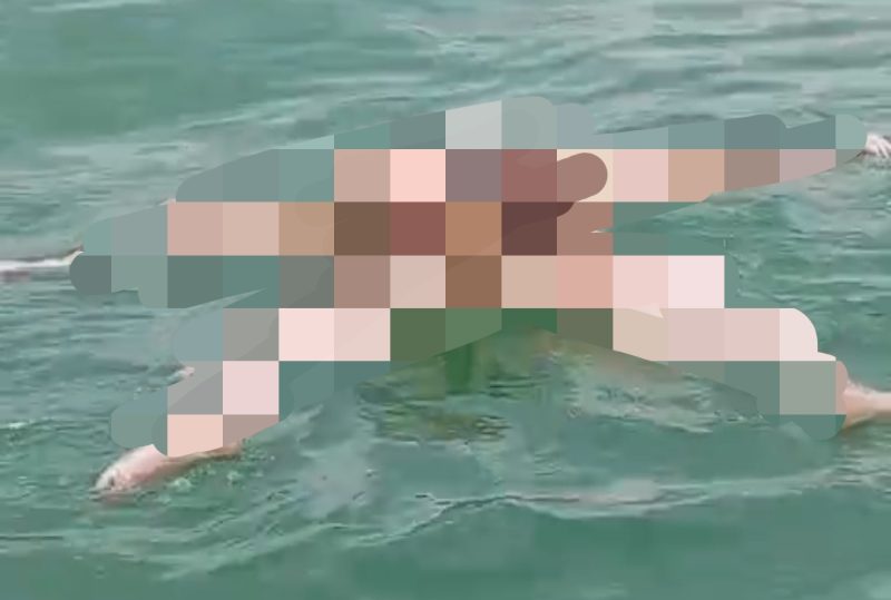 Nelayan Temukan Mayat Pria Mengapung Tanpa Busana di Perairan Pulau Lalang | Foto : Zonamu/Warga